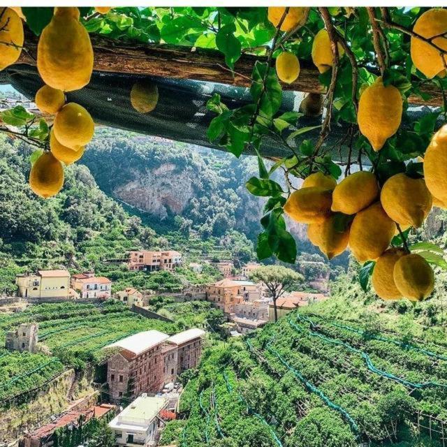La Valle Delle Ferriere Bed & Breakfast Amalfi