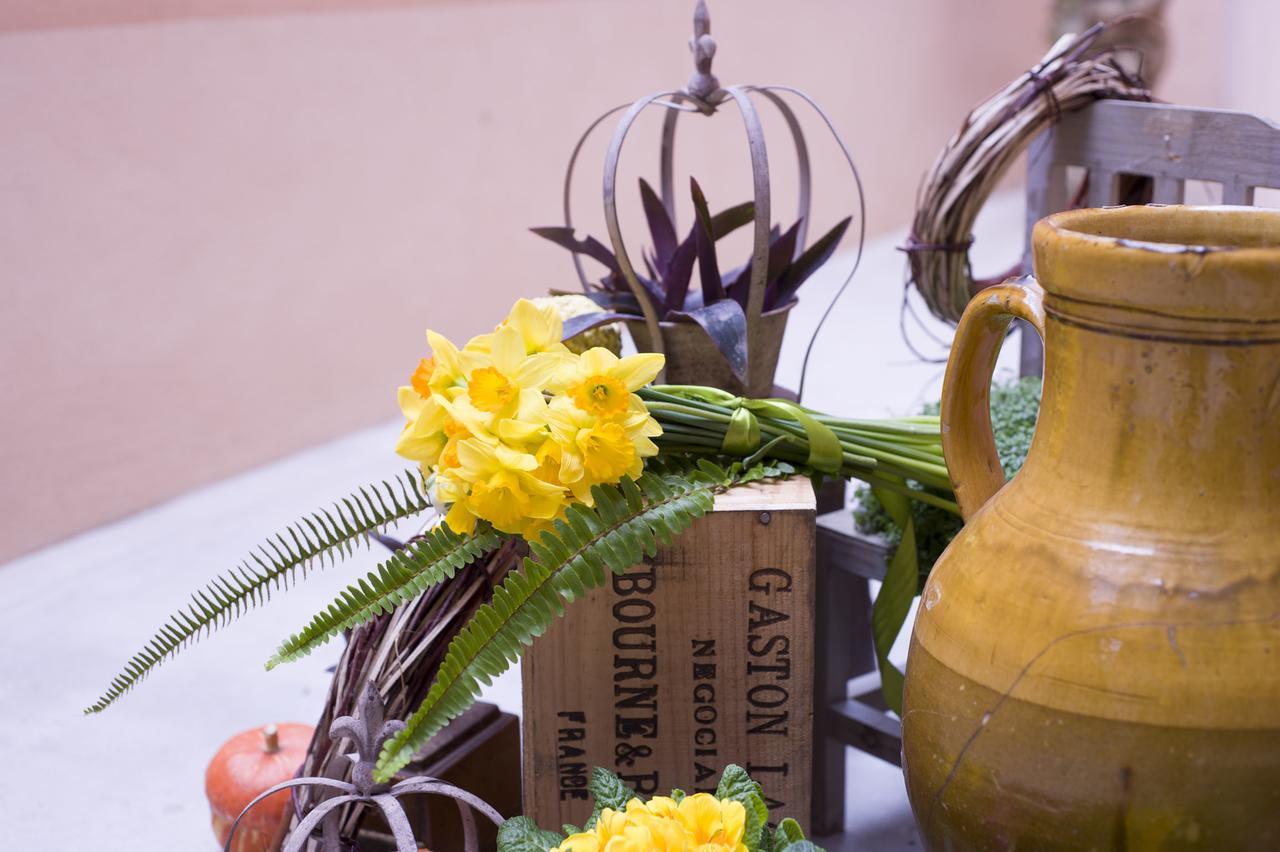 La Valle Delle Ferriere Bed & Breakfast